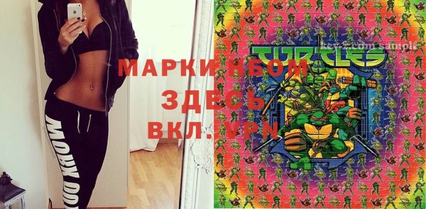 МДПВ Абаза