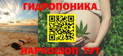 крисы Гагарин