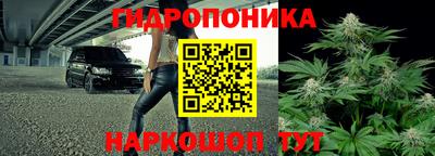 ECSTASY Волжск