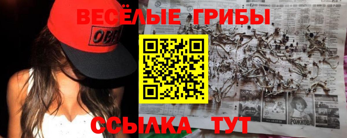 Псилоцибиновые грибы Psilocybe  Вход с VPN  Егорьевск 