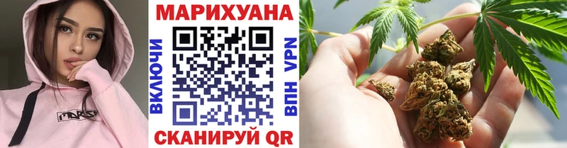 Бошки марихуана THC 21%  Егорьевск 